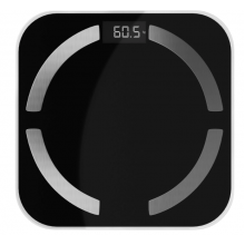 Весы CENTEK CT-2425 (black) (O)